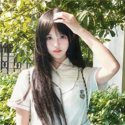 白象