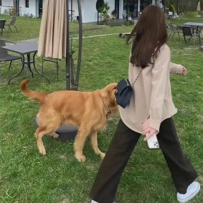 假面女仆